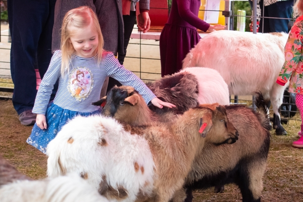 Toddler petting animals at EasterFest