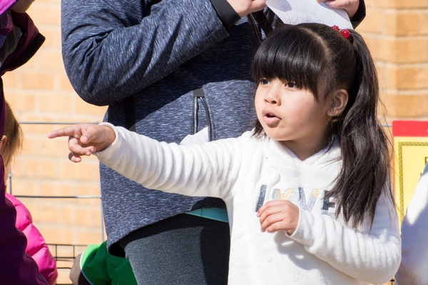 Young girl pointing at petting zoo