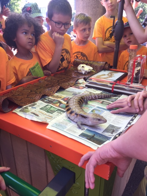 ECC students look at a lizard at the zoo.